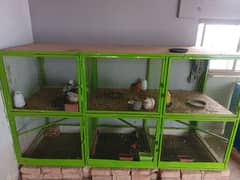 beautiful solid cages for sale