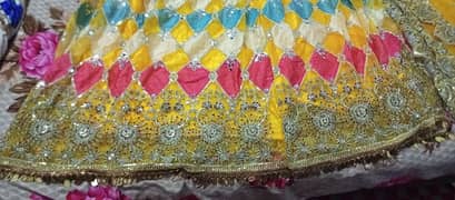 Yellow with multi color lenhga