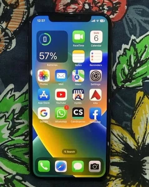 iPhone XS Max 256 GB PTA Approved 4