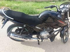 Yamaha  YBR