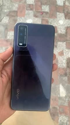 vivo