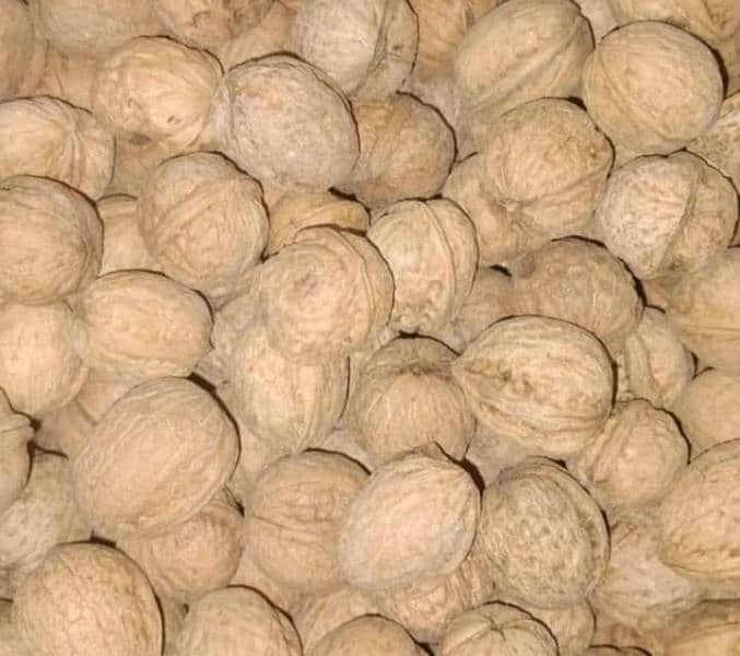 All wariety Dry fruit & Masalajat wholesale rate 0