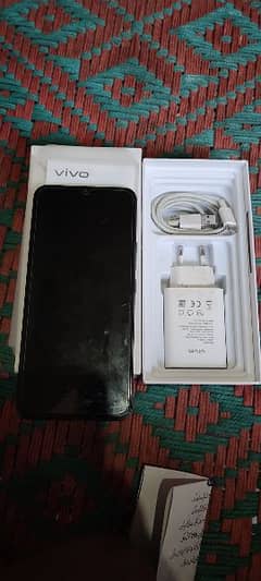 Vivo