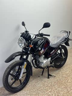 yamaha ybr125g ( 2023 model )