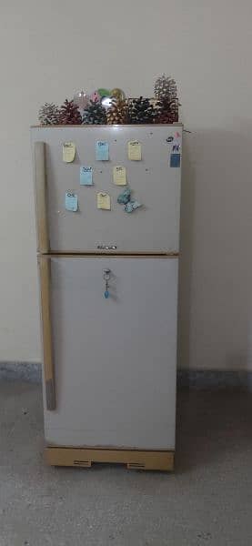 PEL Refrigerator Architect Model Large Size 5