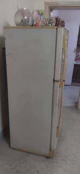 PEL Refrigerator Architect Model Large Size 6