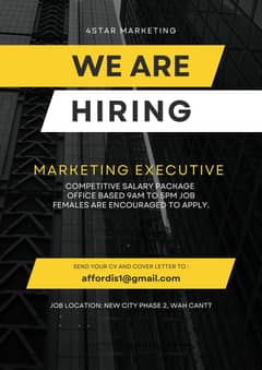 Marketing Executive