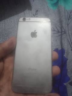 iPhone 6