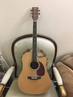 Hofner Acoustic Guitar