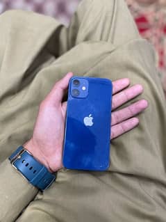 iphone 12 mini