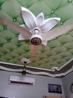 celling fans used conditions