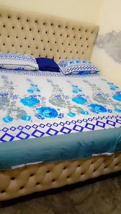 home bed / poshish bed / wooden bed / washable bed