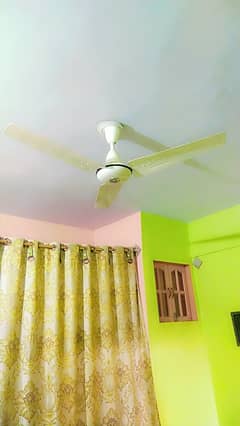 Pak ceiling