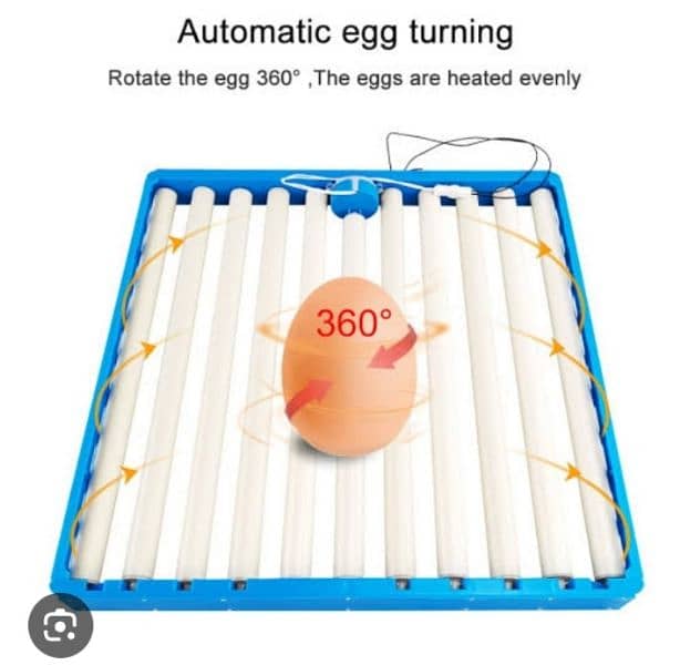 Egg rolling tray 1