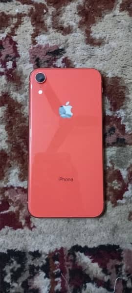 Iphone XR Pta Approved 64 GB 1