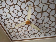 Ceiling fan 10/10 condition