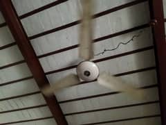 Ceiling fan 100% copper