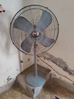 pedestal fan for sale