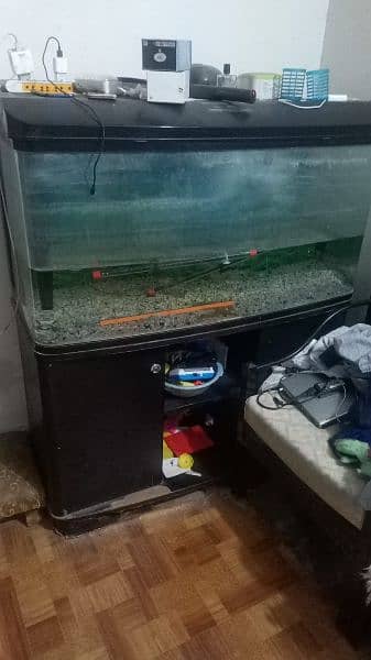 aquarium for sale urgent 4