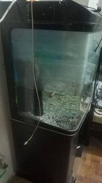 aquarium for sale urgent 6