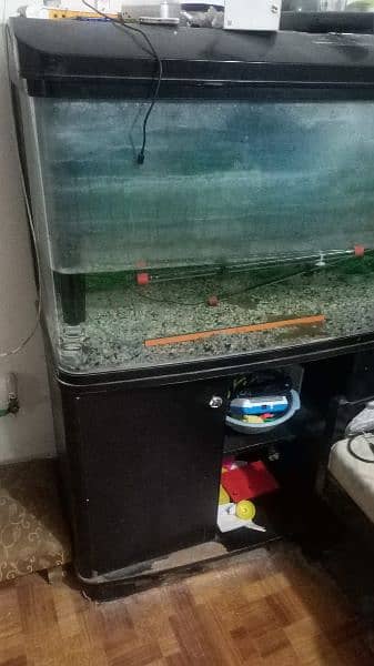 aquarium for sale urgent 7