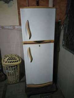 Waves Fridge Normal Size urgent sale