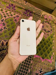 iphone 8 official pta approved