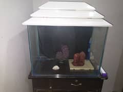 Fish Aquarium 2'x1.5'x1'