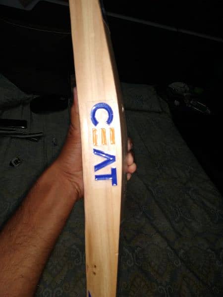 CEAT Hard ball bat 4