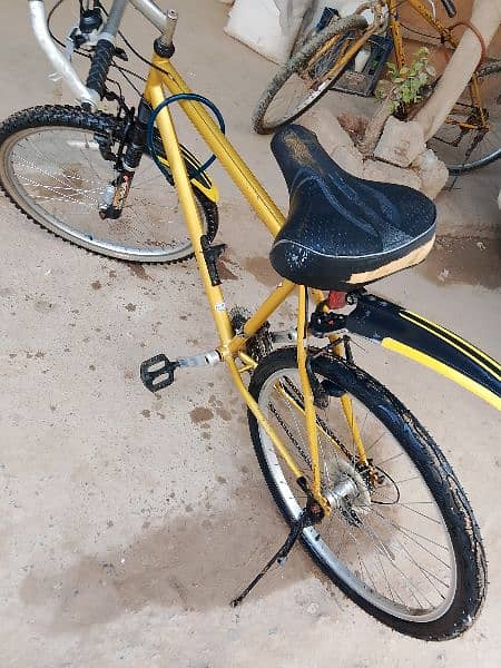 Cycle For Sale 1