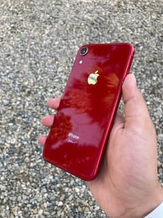 IPHONE XR Jv LLA Model 0