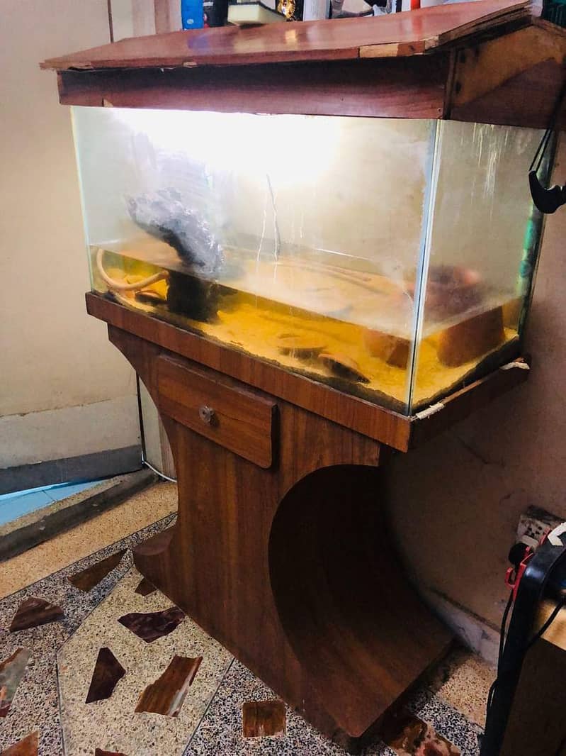 3ft Aquarium sale on first best offer 0