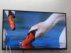 Android UHD TV "60 Inch" LED (Original size) 0