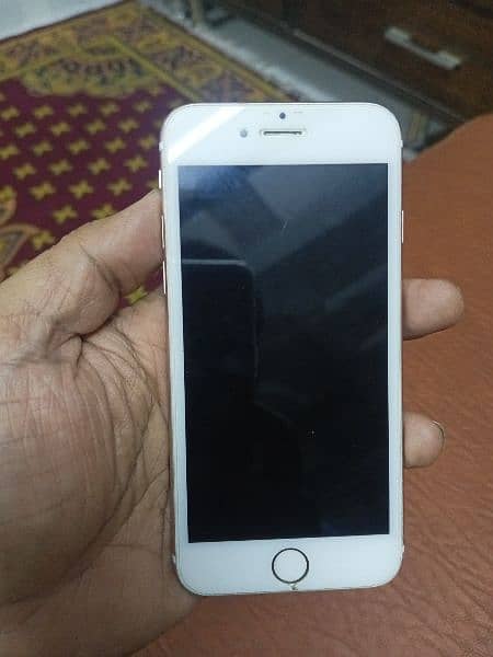 iPhone 6s 16GB PTA Approved 1