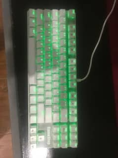 mechanical / gaming keyboard