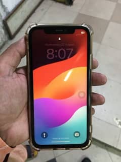 iPhone 11 GX Panel A+ Display Screen