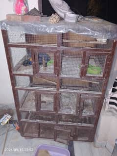 wooden cage  for love bird cocktail and other big bird