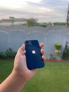 iPhone 12 mini