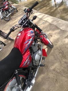 suzuki 150cc se