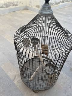 Parrot cage