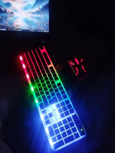 Budget Gaming RGB [ keyboard+ Mouse ] 3