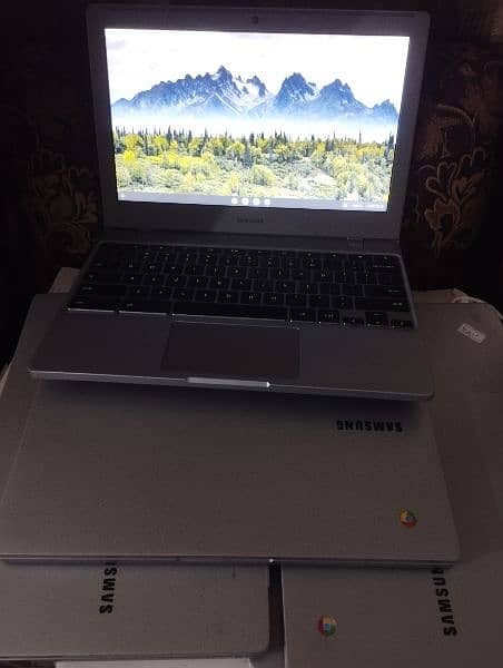 Samsung Chromebook 4 (2029 Updates,C-type)| 4/32GB | Playstore | 11.6" 1