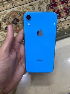 Iphone Xr dual sim PTA approved (price negotiable)