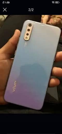 vivo