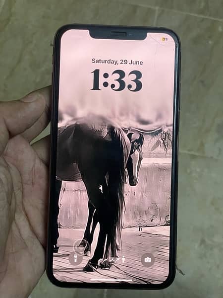 xs max 256 pta approved 1