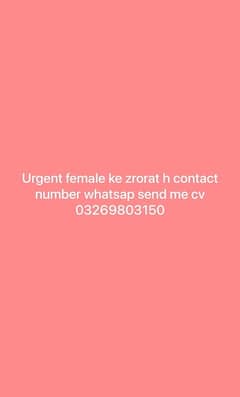 urgent female ke zrorat h cv send kry WhatsApp Pa