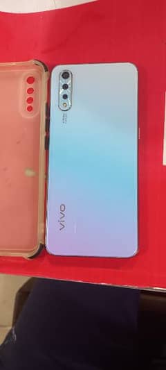 vivo