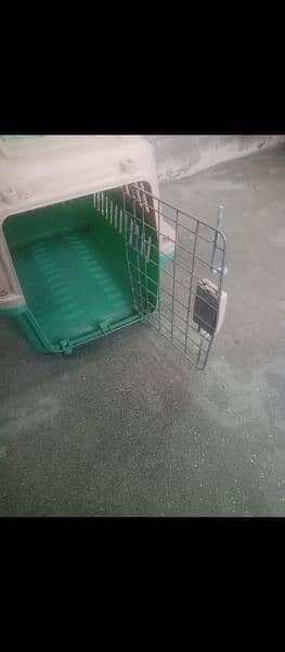 cat cage 1