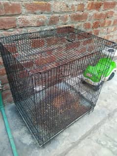 Folding cage Size. 2 feet x 1.5 feet x 2 feet height