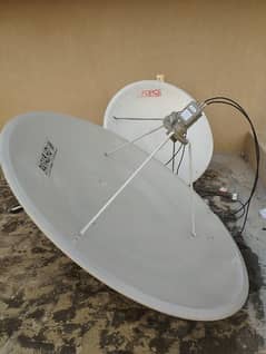 dish